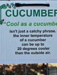 Interesting Gardening Facts