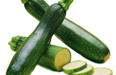 Zucchini- Cucurbito pepo