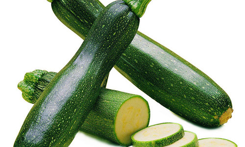 Zucchini- Cucurbito pepo