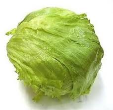 lettuce